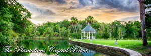 Ocala Magazine, Wedding Destinations, Plantation on Crystal River
