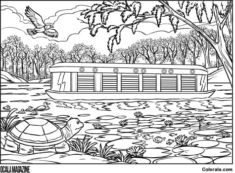 Adult Coloring Page - Silver Springs