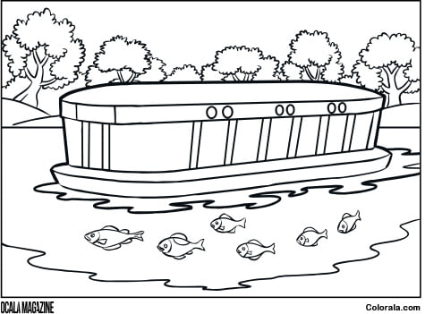 Children's Coloring Page - Silver Springs