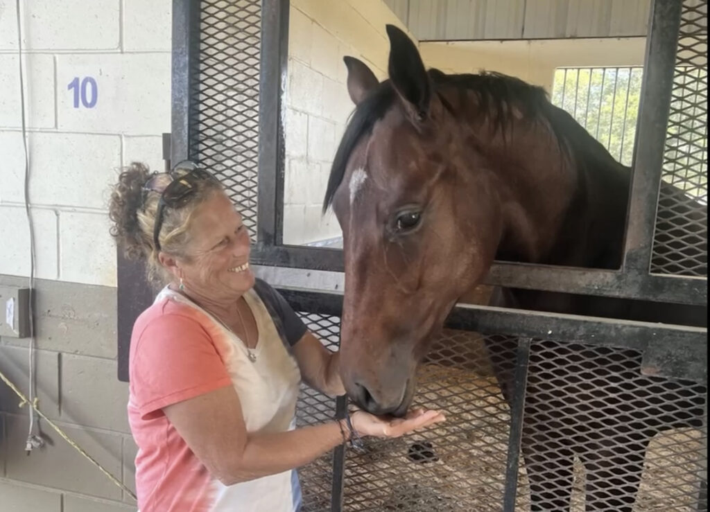 The Horses of Mayberry Ocala Florida Ocala Magazine