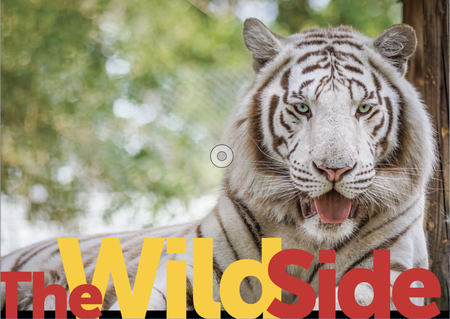 The Wild Side - February 6, 2025
