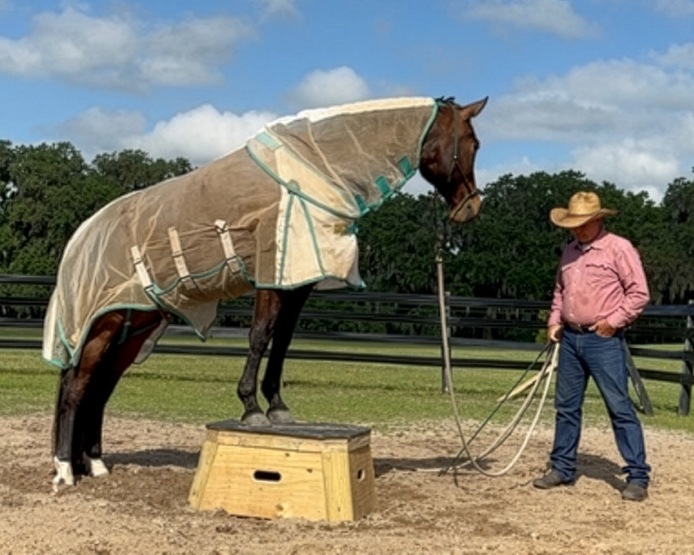 Dancin’ Pete Rodda and his horsemanship